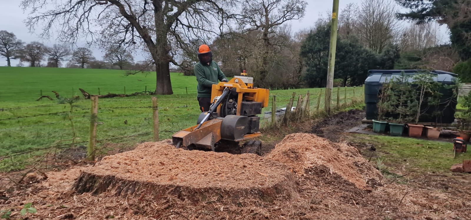 Tree stump removal in Sutton with stump grinder